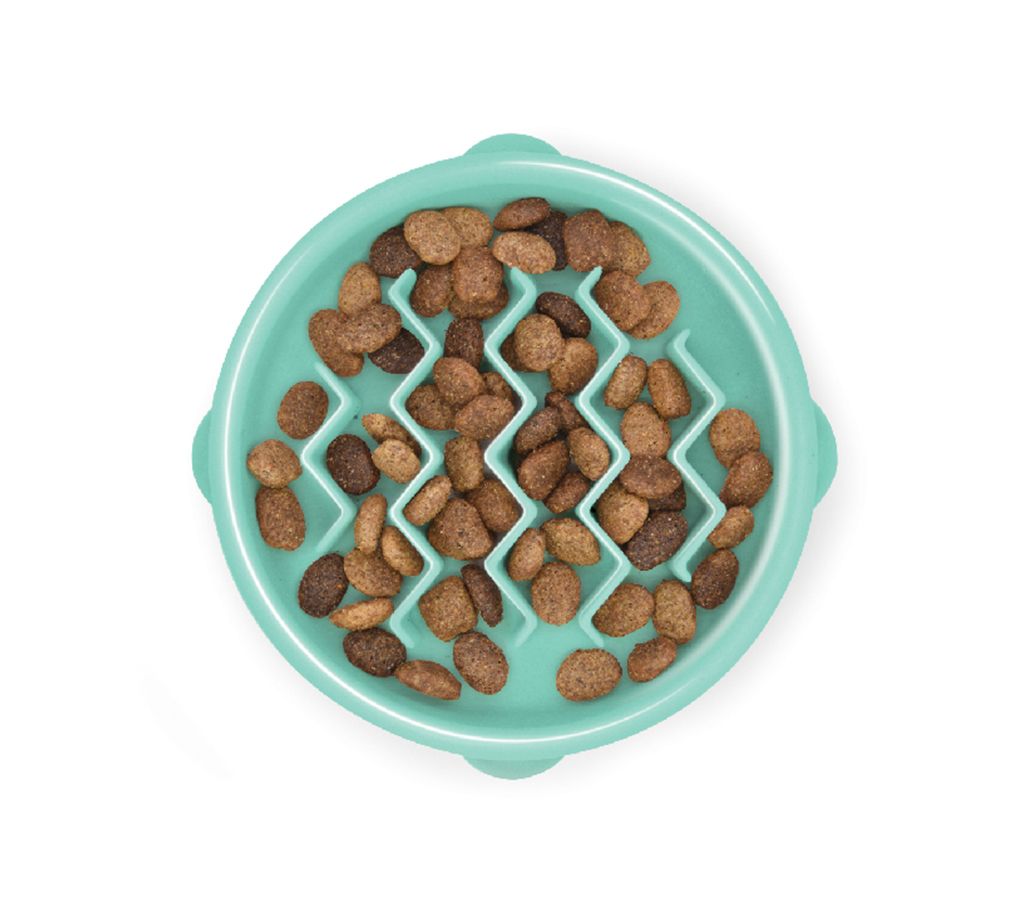 Ciotole per Cani Ciotole per Cani